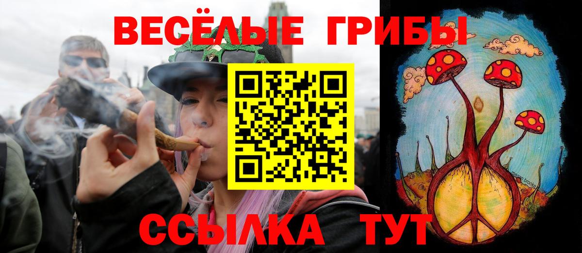 Чебоксары  Псилоцибиновые грибы мицелий  Вход с VPN 